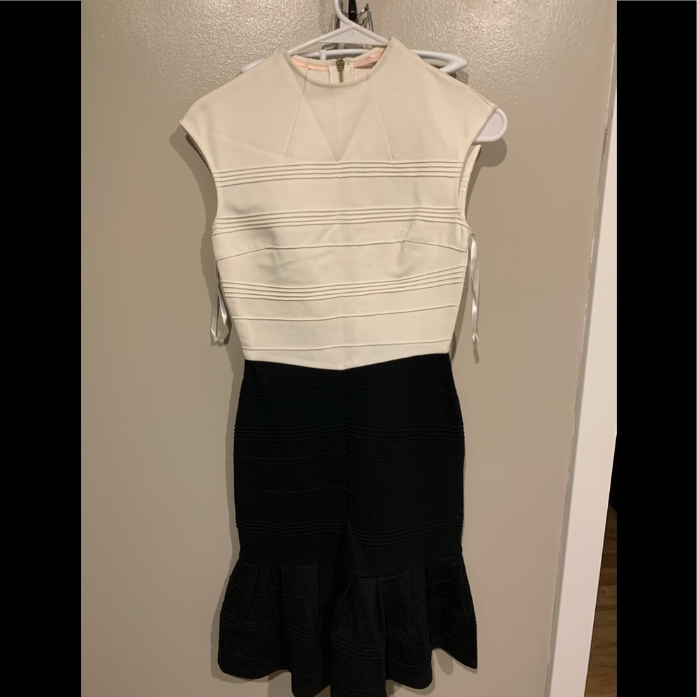NWT Ted Baker dress